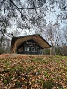 A modern black cabin with large windows sits on a hill covered in fallen autumn leaves, surrounded by tall trees with mostly bare branches under a cloudy sky.